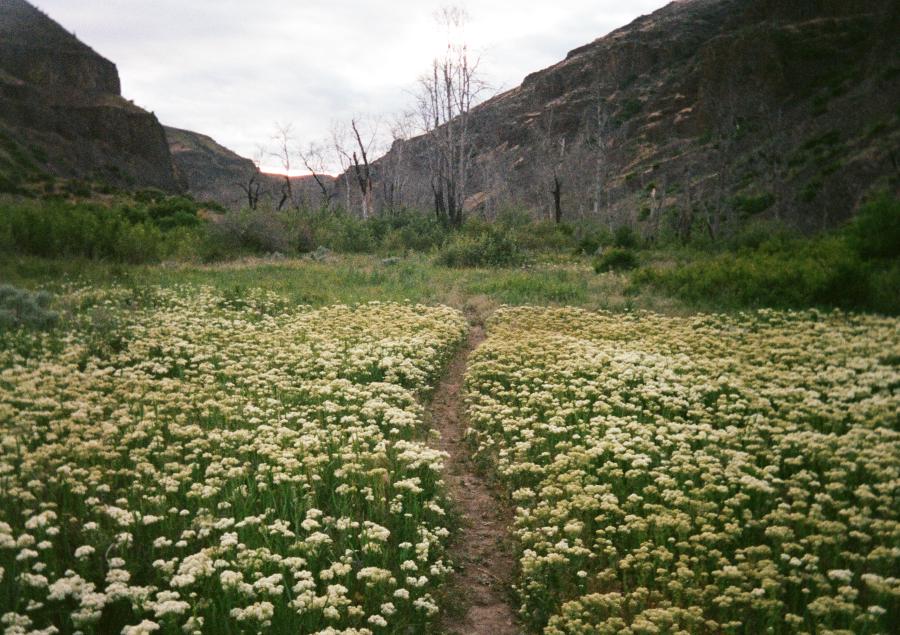 Preview Image for Umptanum Creek.